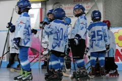 20-03-2011-minihockey